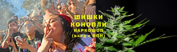 молекула духа Алексеевка